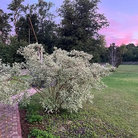 Uuelu Turismitalu * Kõrkküla