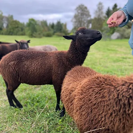 Uuelu Turismitalu Kõrkküla