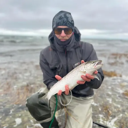 Uuelu Turismitalu Nyaraló *