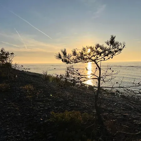 Uuelu Turismitalu Nyaraló *