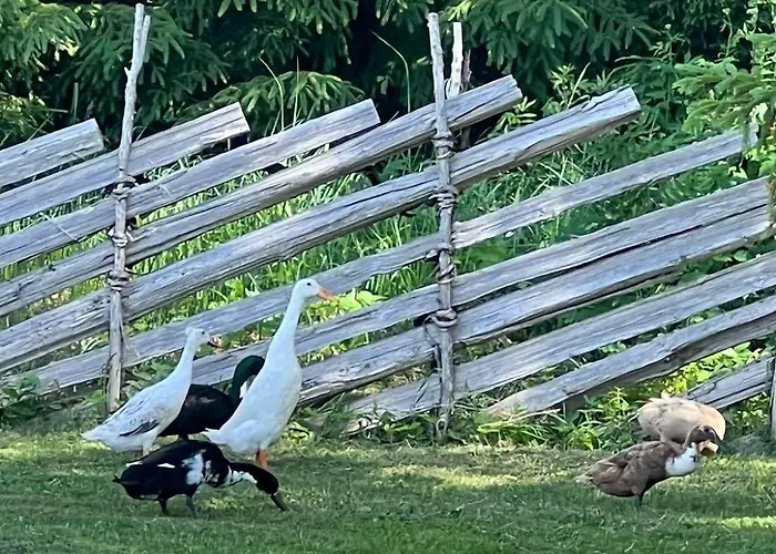 Nyaraló Uuelu Turismitalu Kõrkküla