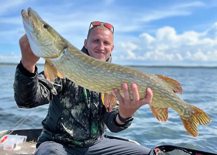 Nyaraló Uuelu Turismitalu *