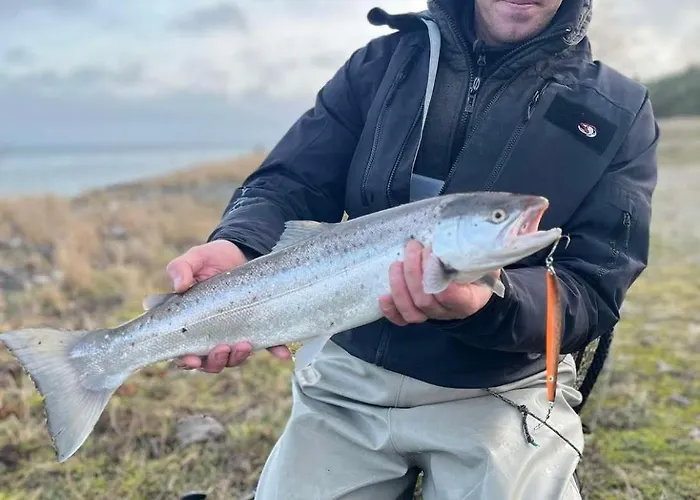 Uuelu Turismitalu Kõrkküla
