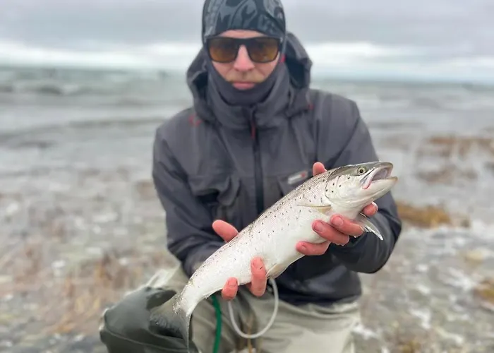 Uuelu Turismitalu Nyaraló *