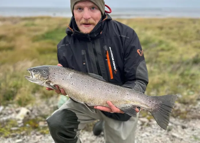 Nyaraló Uuelu Turismitalu