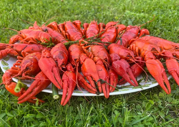 Nyaraló Uuelu Turismitalu