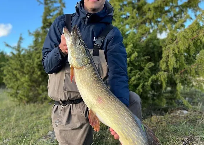 Uuelu Turismitalu Nyaraló